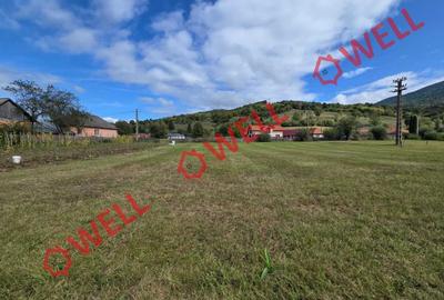 Teren agricol intravilan de 4320 mp, în Crasna - 2