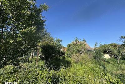 Casă cu Teren 954 Mp în Iosefin - 5