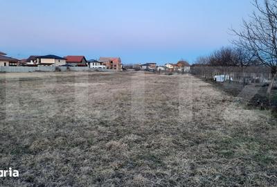 Teren de 515 mp, în Torontalului