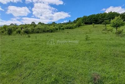Teren de 550 mp, în Șelimbăr - 2