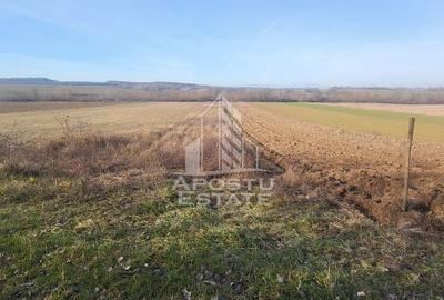 Teren de 5000 mp, în Almaș - 4