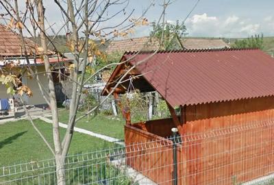 Casă cu Teren 7800 Mp în Sud - 1