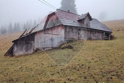 Teren de 26232 mp, în Dorna-Arini
