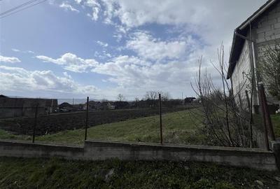 Teren Construcții intravilan de 2261 mp, în Tinăud - 7