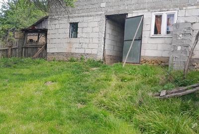 Casă cu Teren 3850 Mp în Roșia - 4