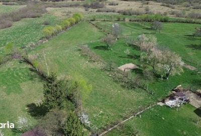 Teren de 4000 mp, în Central - 14