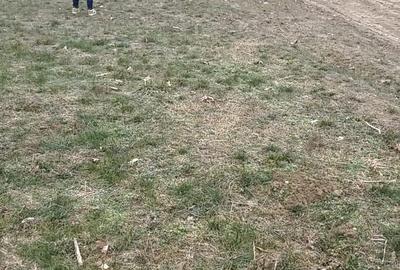 Teren de 2500 mp, în Central