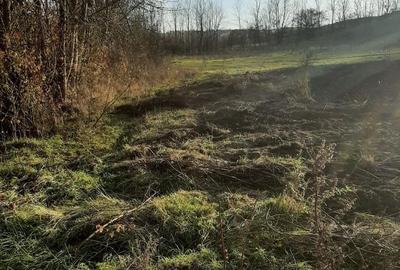 Teren agricol intravilan de 1260 mp, în Ususău - 3
