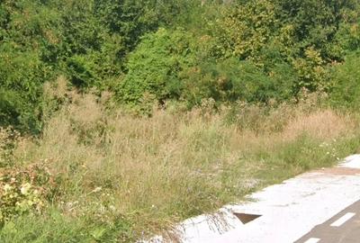 Teren de 2000 mp, în Valea - 1