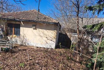 Casă cu 2 camere în Bucium