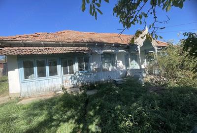 Casă cu Teren 1490 Mp în Pușcași