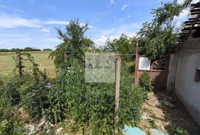 Teren agricol extravilan de 11000 mp, în Neajlovu - 7