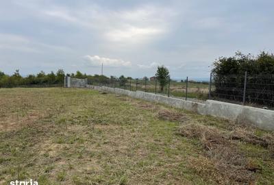 Teren de 11600 mp, în Viile Satu Mare - 8