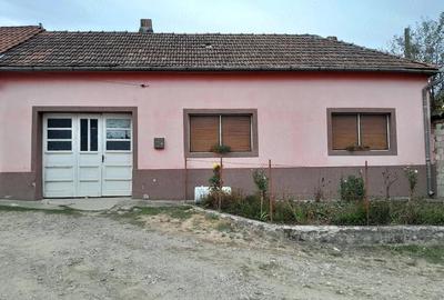 Casă cu 6 camere cu Teren 5000 Mp în Gârbovăț