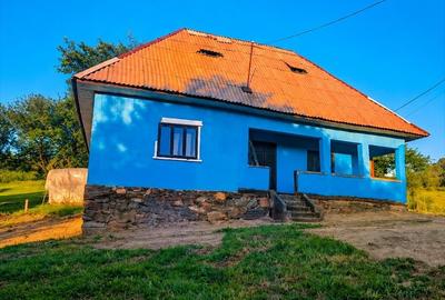 Casă cu 2 camere în Copalnic