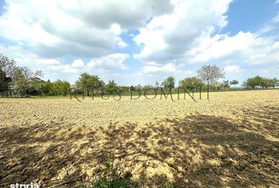 Teren de 5200 mp, în Sânmartin - 1