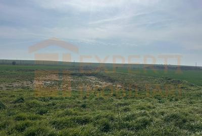 Teren Construcții intravilan de 10000 mp, în Valu lui Traian - 8