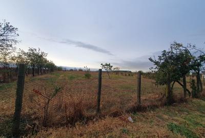 Teren de 1739 mp, în Padina - 2