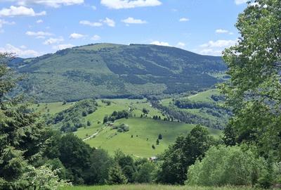 Teren de 6695 mp, în Mogoș - 5
