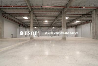 Spațiu industrial, de 5,300 mp, în Nord - 3