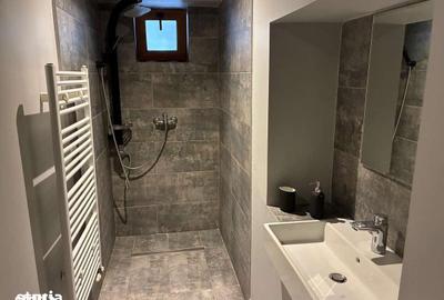 Spațiu comercial, de 79 mp, în Centrul Istoric - 3