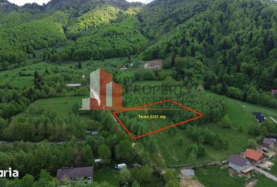 Teren de 5261 mp, în Tohănița - 2