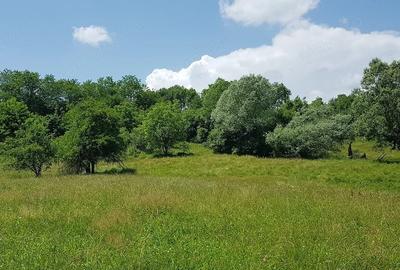 Teren de 29000 mp, în Valea Iașului - 2