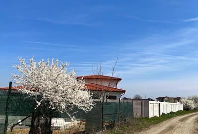 Teren Construcții intravilan de 2448 mp, în Est - 7
