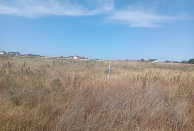 Teren de 300 mp, în Lazu - 6