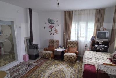 Casă cu 3 camere cu Teren 10000 Mp în Măguri - 6