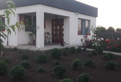 Casă individuală cu 3 camere cu Canalizare în Tătarca - 12