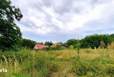 Casă cu 4 camere cu Teren 5361 Mp în Grebănu - 2