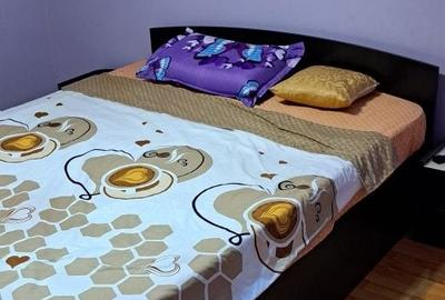 Apartament cu 3 camere semidecomandat în Govândari