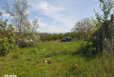 Teren de 1500 mp, în Copou