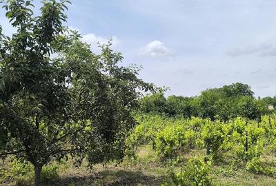 Teren de 1200 mp, în Valea Bisericii - 4