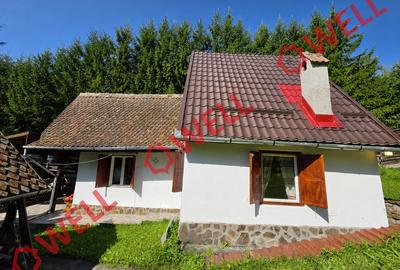 Casă cu 4 camere cu Teren 2800 Mp în Filia