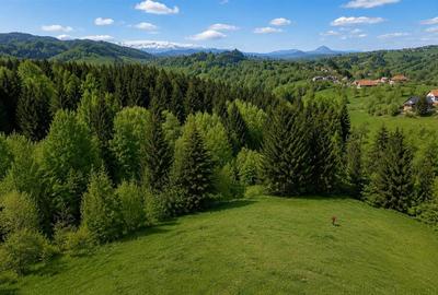 Casă cu 3 camere cu Teren 1000 Mp în Bran - 3