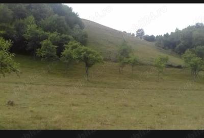 Casă cu 5 camere cu Teren 70000 Mp în Blăjeni - 1