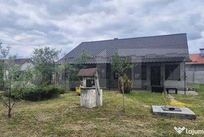 Casă cu 3 camere cu Teren 2918 Mp în Vetiș - 7