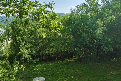 Casă individuală cu 5 camere cu Canalizare în Capul Câmpului - 7