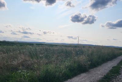 Teren Construcții intravilan de 600 mp, în Curtești - 2