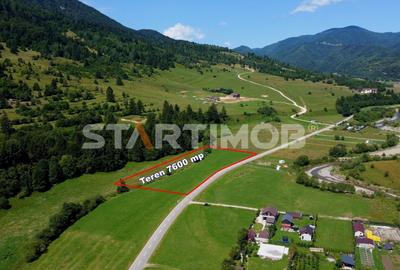 Teren Construcții intravilan de 7600 mp, în Vest - 4