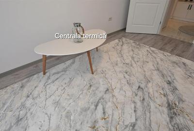 Apartament cu 2 camere decomandat, mobilat în Ipotești - 5