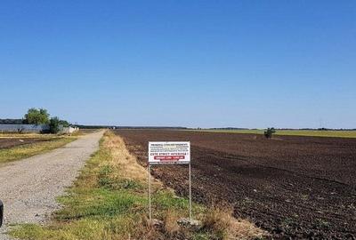 Teren Construcții intravilan de 30700 mp, în Brănești - 10