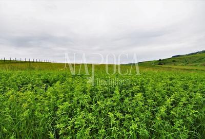 Teren Construcții extravilan de 5800 mp, în Popești - 1