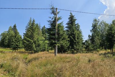 Teren de 9466 mp, în Dealu Negru - 3