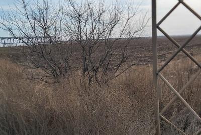 Teren agricol intravilan de 4.5 mp, în Brăilei - 7