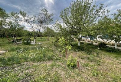 Casă cu 3 camere cu Teren 2000 Mp în Stănești - 2