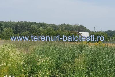 Teren de 620 mp, în Balotești