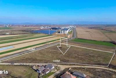 Teren de 14300 mp, în Medieșu Aurit - 1